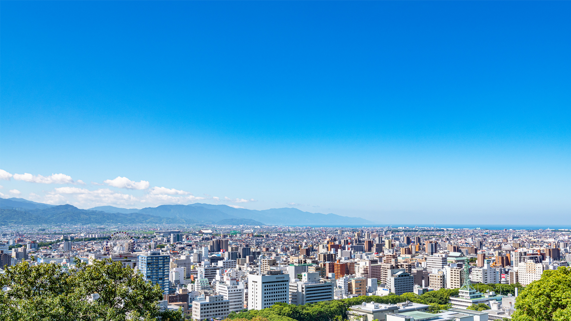 NTU不動産鑑定 株式会社